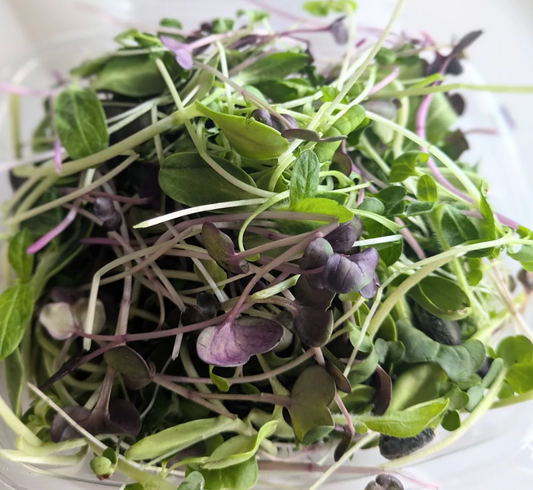 Salad Mix - Microgreens (4 oz)
