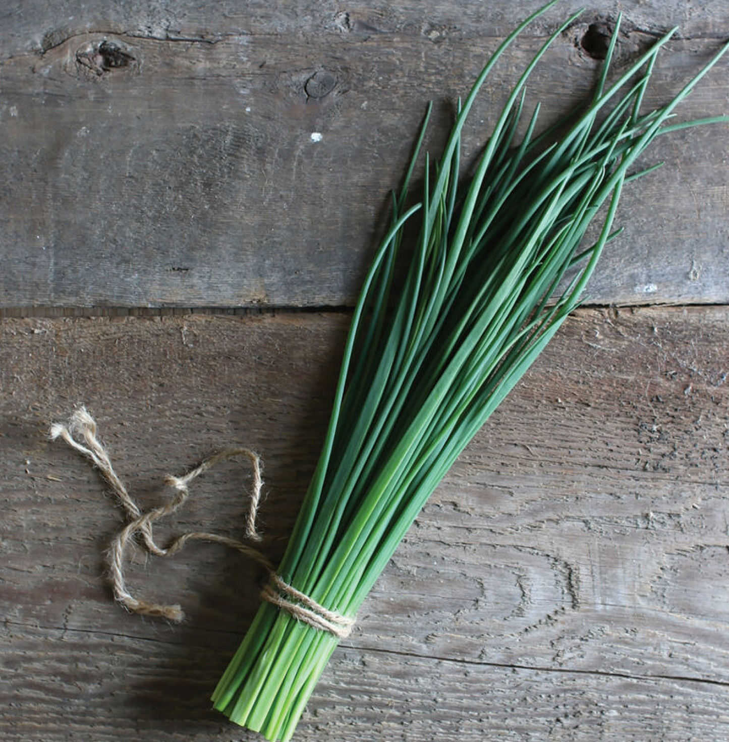 Chives (1 oz)