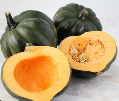 Squash Seedlings