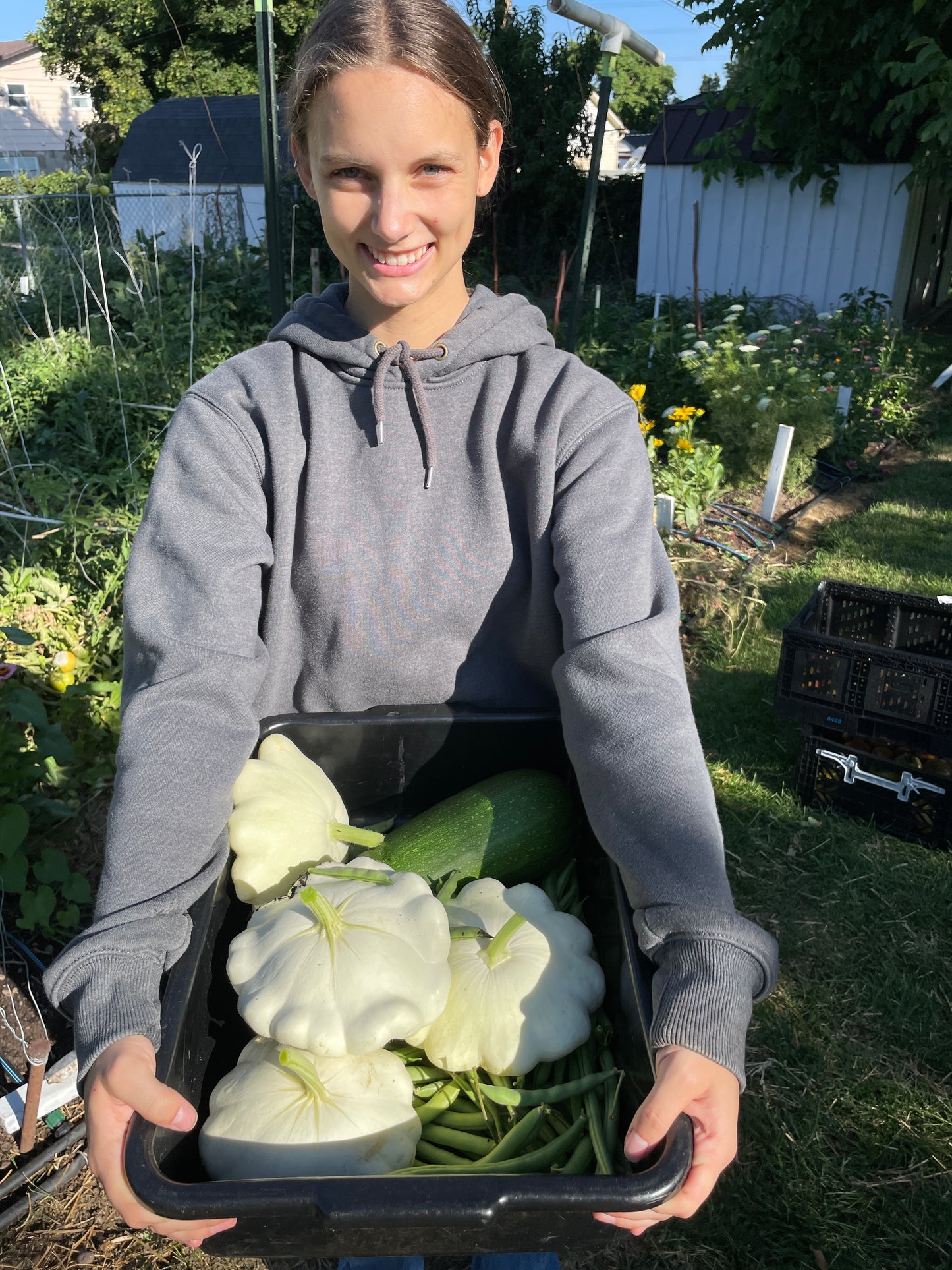 Squash-Pumpkin Seedlings