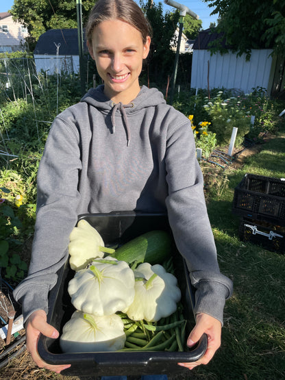 Squash-Pumpkin Seedlings