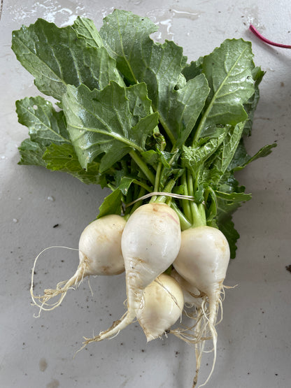 Turnips (Toyko) (per lb)