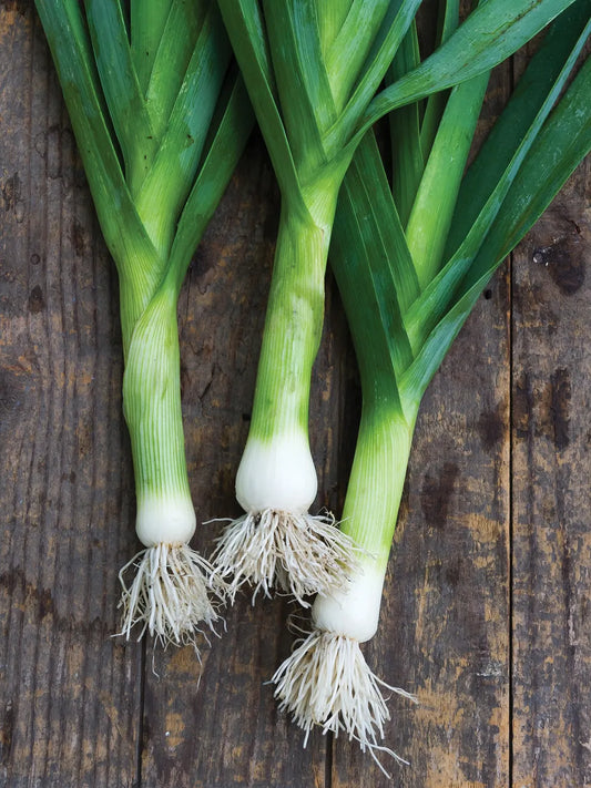 Leeks (ea)