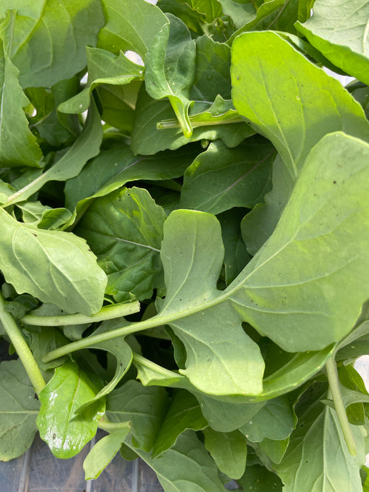 Arugula (8 oz)