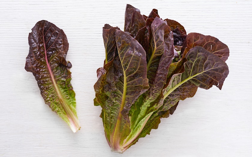 Lettuce (8 oz)