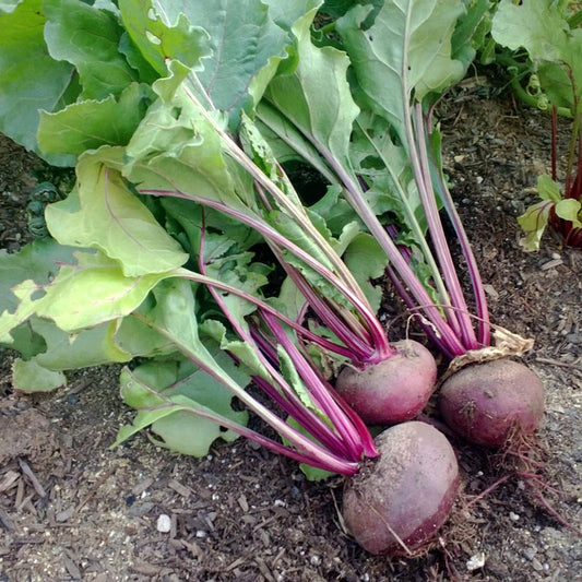 Beets (per lb)