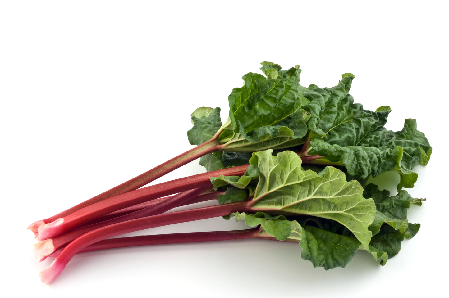 Rhubarb (8 oz)
