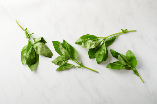 Basil (1 oz)